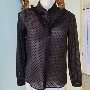 Zara Black Sheer Polka Dot Blouse
